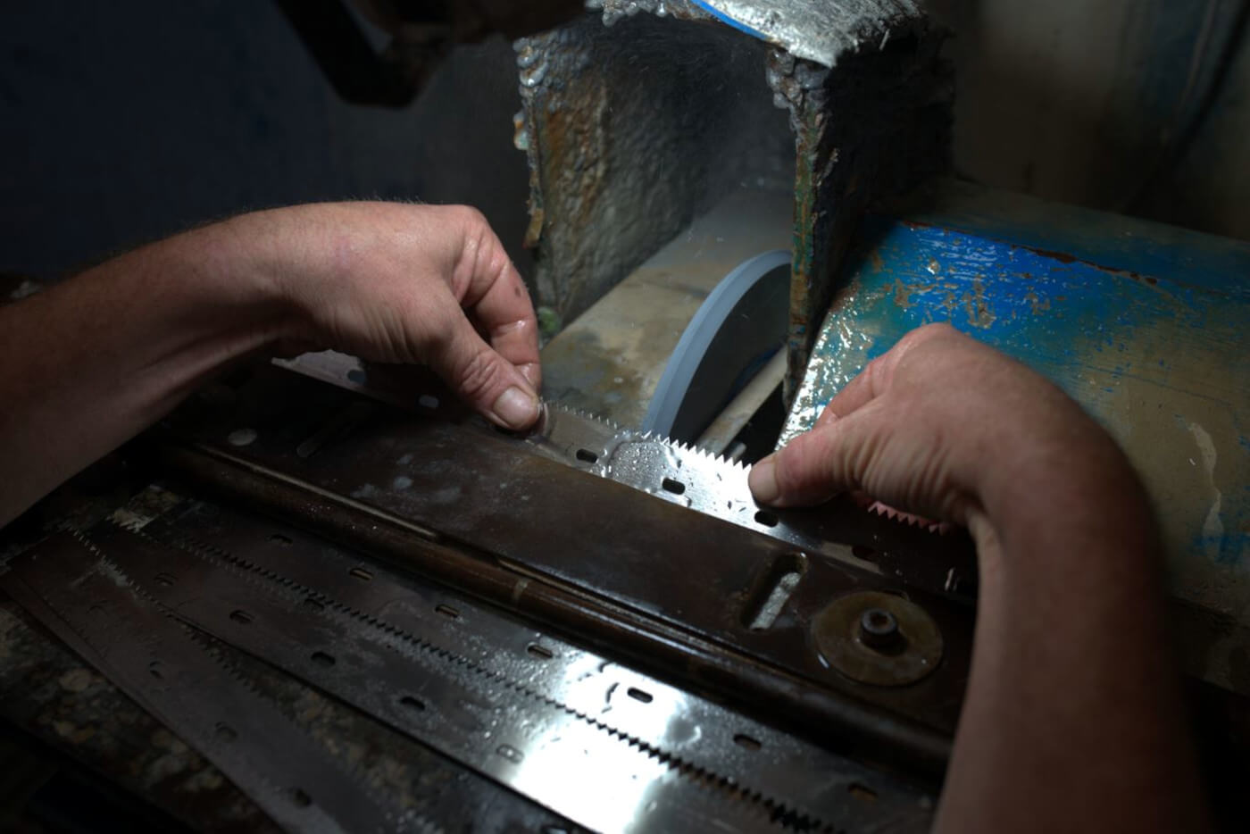 Engineer's hands sharpening a saw-toothed machine knife on a grinding wheel